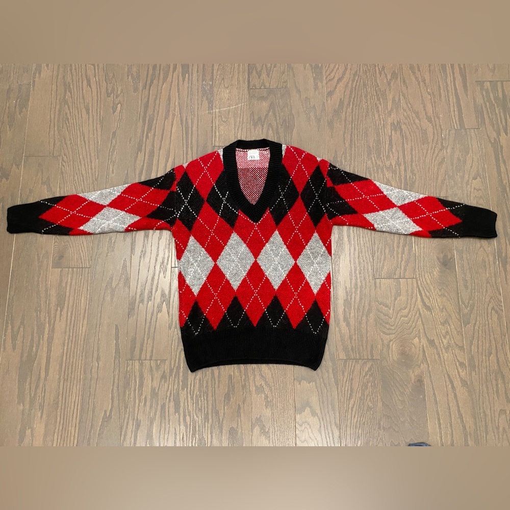 Zara V-neck Sweater (Medium)